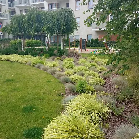 Nadmorski Caffe Latte W Gdansku * Gdańsk